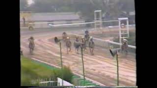 Download lagu CYPRUS TURF CLUB CUP 1992 MEPA POWER mp3 Download lagu CYPRUS TURF CLUB CUP 1992 MEPA POWER mp3