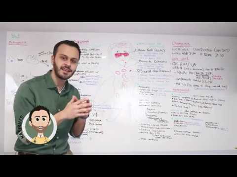 Systemic Lupus Erythematosus (SLE) - NasirMed