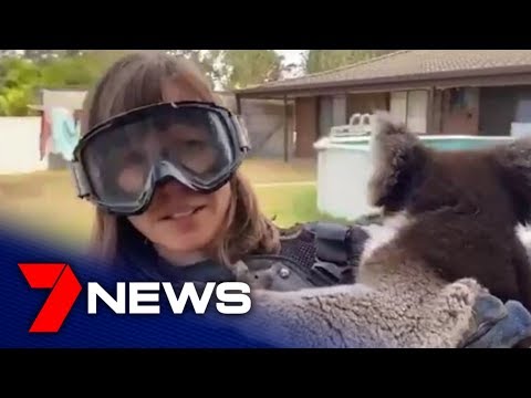 Scottish reporter tricked into wearing protective gear for 'drop bears' | South Australia | 7NEWS