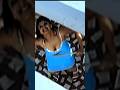 Rambha Biggies Actress Actresshotdress Boobs Cleavage