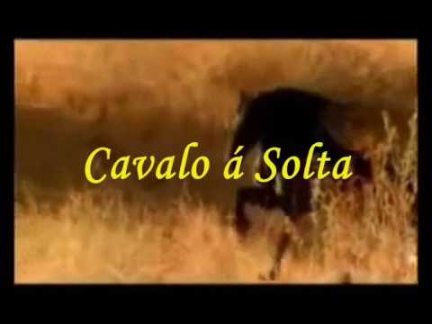Cavalo À Solta - Ary dos santos - Fernando tordo