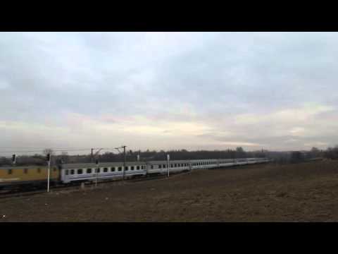 Złota EP09-011 z IC Mehoffer