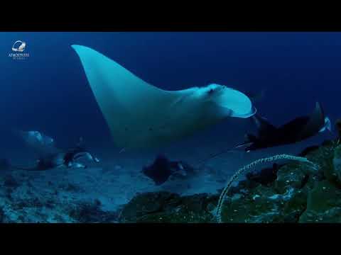 Witness21  2024 03 06