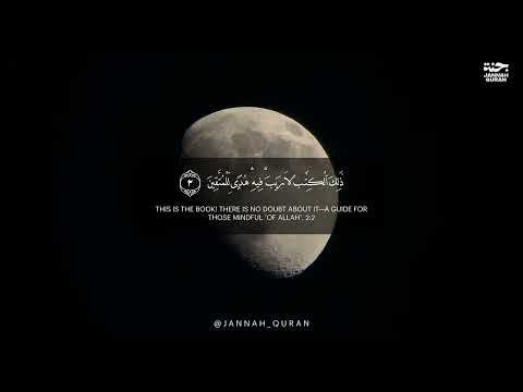 Surah As Saaffaat سورة الصافات | Beautiful Voice | Muhammad Hassan | Jannah Quran