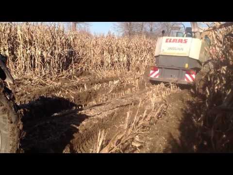 SILAGEM MILHO 2013 EM OVAR NA LAMA.