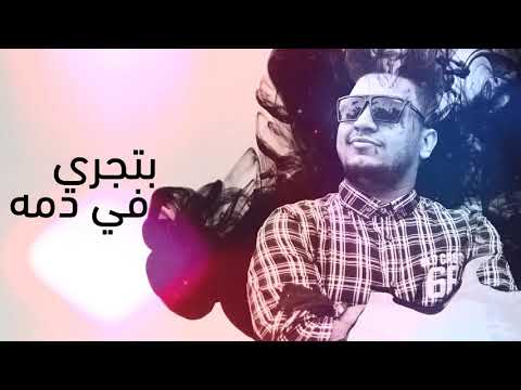 مهرجان شبح اسد وسط الغابة المخترع فيجو سادات العالمي توزيع فيجو