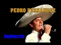 PEDRO FERNANDEZ "Despacito"