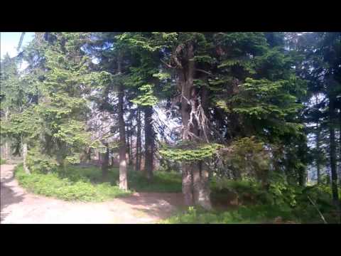 Turbacz 1310 m n.p.m. - 25 czerwca 2016 rok