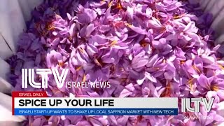 Israeli start-up wants to shake up local saffron market with new tech