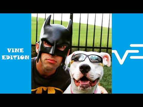 BatDad Vine Compilation | Funny Vines of BatDad - Vine Edition✔