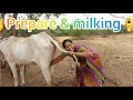 Viral Prepare Milk Making Vlog ️