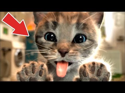 Sevimli Kedi Kostüm Partisi #Çizgifilm Tadında Yeni Oyun