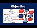 What is an Objective?