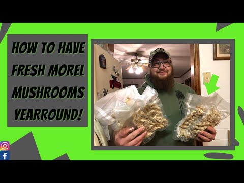 MOREL MUSHROOMS YEARROUND! (The best way to preserve morels)