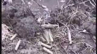 Norma Jean - Organized Beyond Recongnition (Unofficial Video)