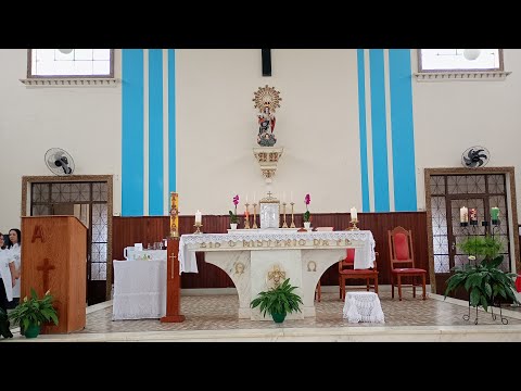 PARÓQUIA NOSSA SENHORA DO ROSÁRIO Brás Pires está ao vivo! 3° Domingo do Advento