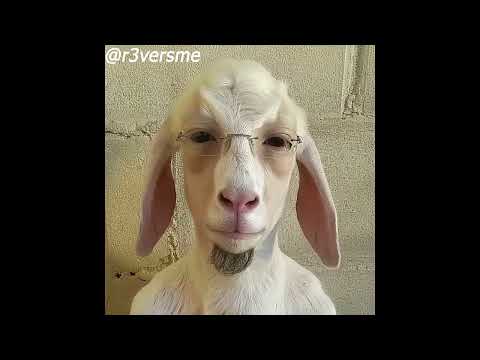 BUSHIDO ZHO x MAYOT Type Beat - memcore (prod. r3versme)