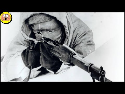 I Cecchini più Efficienti della Storia