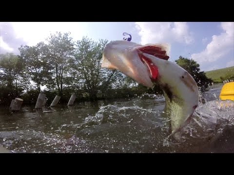 GoPro: Wilfredo Lugo - Best Catch 06.15.15 - Fish