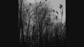 Agalloch - And The Great Cold Death of The Earth (picture video)