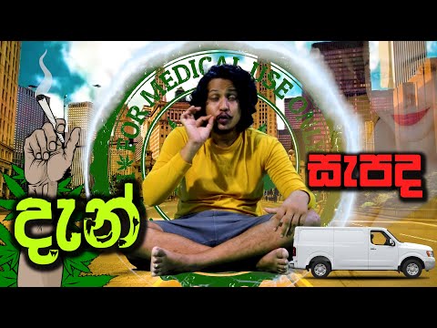 Dn Sapada (දැන් සැපද) - Kavindu Kariyawasam Ft KK Official Music Video