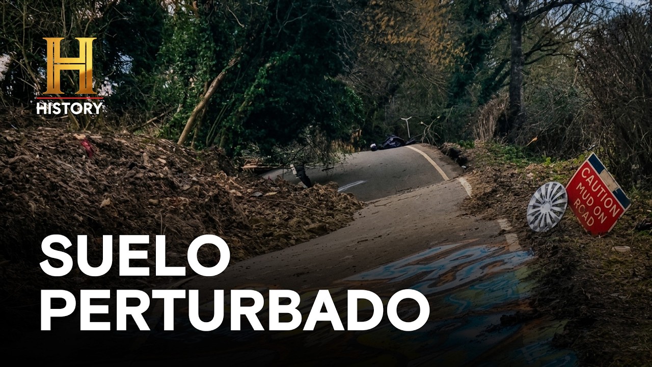 SUELO PERTURBADO ¿Será un terremoto o gusanos gigantes? - LA EVIDENCIA ESTÁ ENTRE NOSOTROS