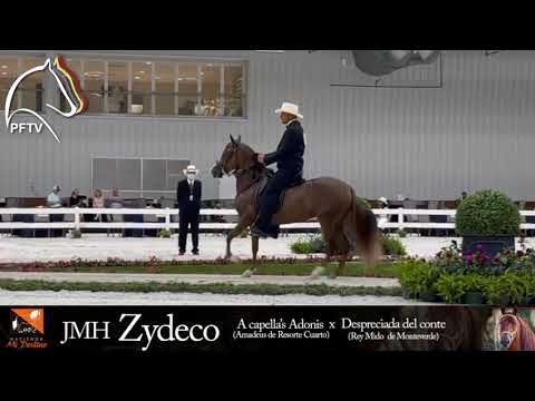 Impertinente De Hacienda H, 1er puesto Clase 56 Extravaganza 2021