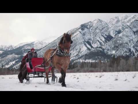 Sleigh Ride in Banff: Banff Trail Riders