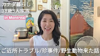 【海外主婦ゆるトーク】ご近所トラブルうちはだいたいこれ。アライグマ珍事件の話も。