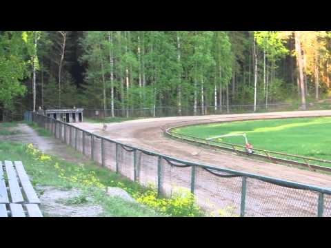 Magyar Agar Uma, 1 year, training in race track