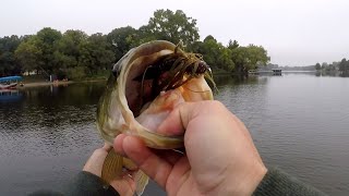 Jig n Craw Saves the Day - Fall Bass Fishing