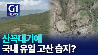 [G1뉴스]국내 유일 고산 습지 '인제 대암산 용늪'