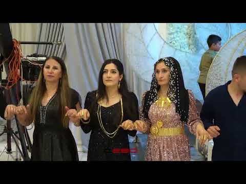 Koma Roni - Şama Ailesi - Ramazan Şama