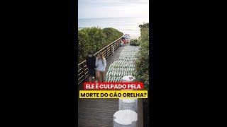 Adolescente culpado pelo caso do cão Orelha?