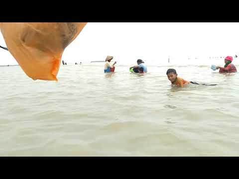 tradisi mulung lamis warga pantai cisekeut