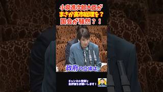【男気】高市総理を守る！進次郎氏が身を挺して答弁に立った衝撃の瞬間   #高市総理  #自民党 #小泉進次郎 #YouTubeショート #shorts