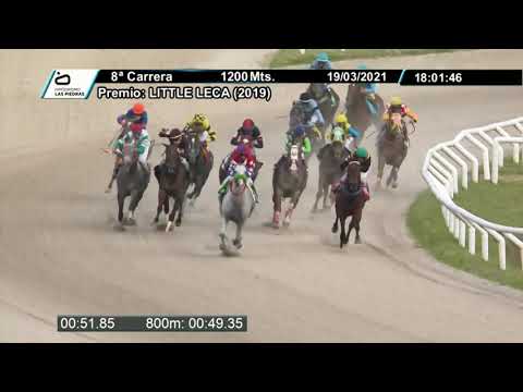 210319 c08 - MINUANO DES PINS - HIPODROMO LAS PIEDRAS