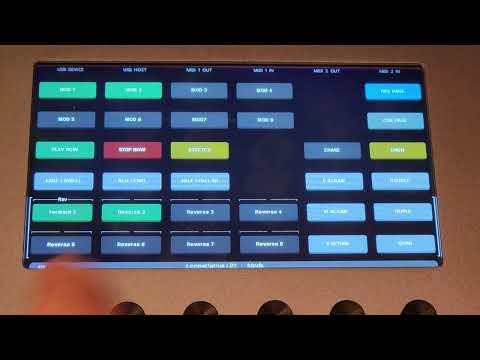 Looperlative LP1 and Electra One