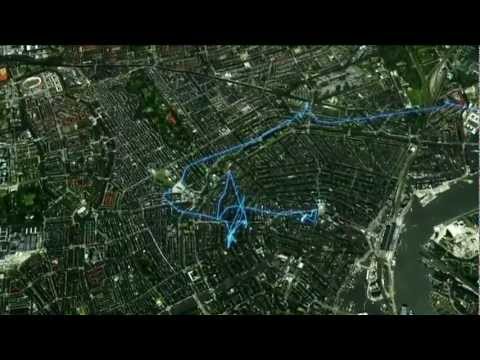 Meeuw vliegt naar Amsterdam