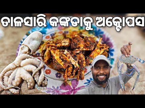 Fresh Seafood of Talsari Beach ⛱️  | Bhadrak 2 Digha Bike Ride |