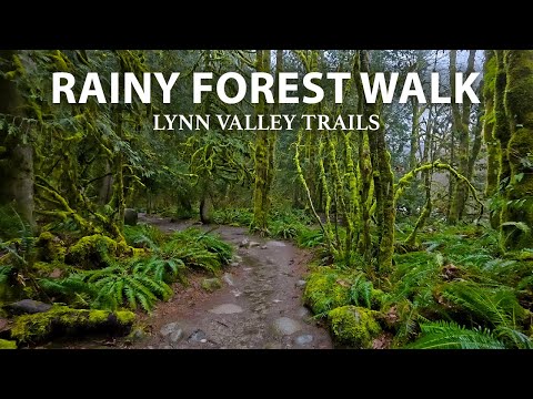Peaceful Rainy Walk in a Lush Forest, North Vancouver BC Canada
