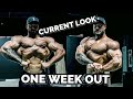 PHYSIQUE UPDATE | CBUM x RAW PROTEIN & PRE-WORKOUT IS LIVE
