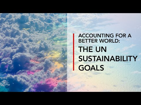 Accounting for a better world - the UN Sustainability Development Goals