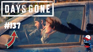 DAYS GONE #137 - PROCURANDO CICUTA NOS NINHOS DE CORVOS | GAMEPLAY | [ PS4 ]