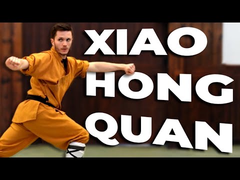 Shaolin XIAO HONG QUAN: lezione e tutorial