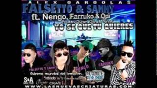 Yo Se Que Tu Quieres Remix   Falsetto &amp; Sammy, Ñengo Flow, farruko,opi