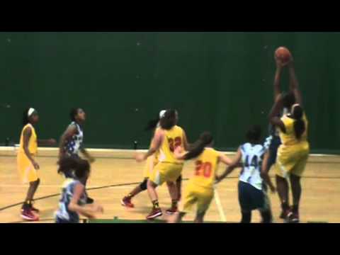 Andrea Hardy Basketball Highlights