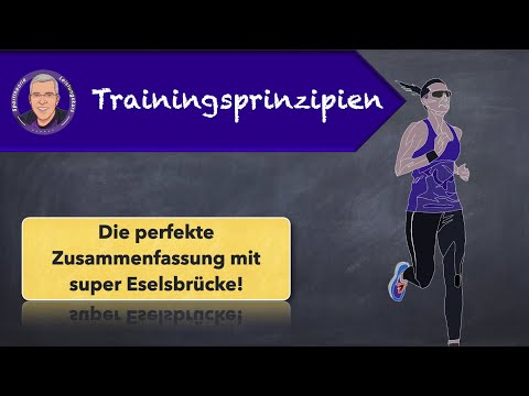 Trainingsprinzipien