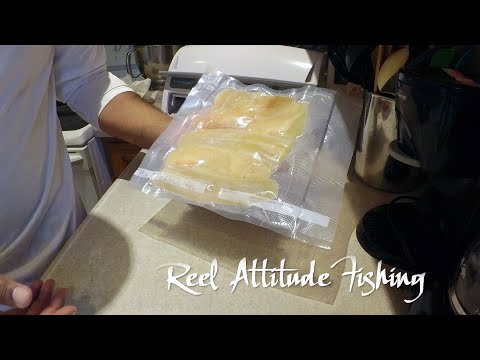 How To Fillet Northern Pike