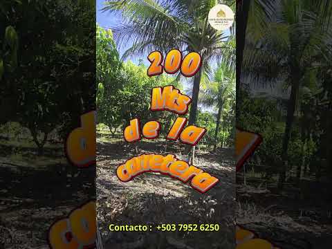 Bonita parcela 1200mtrs² en Santa Barbara, el paraíso Chalatenango